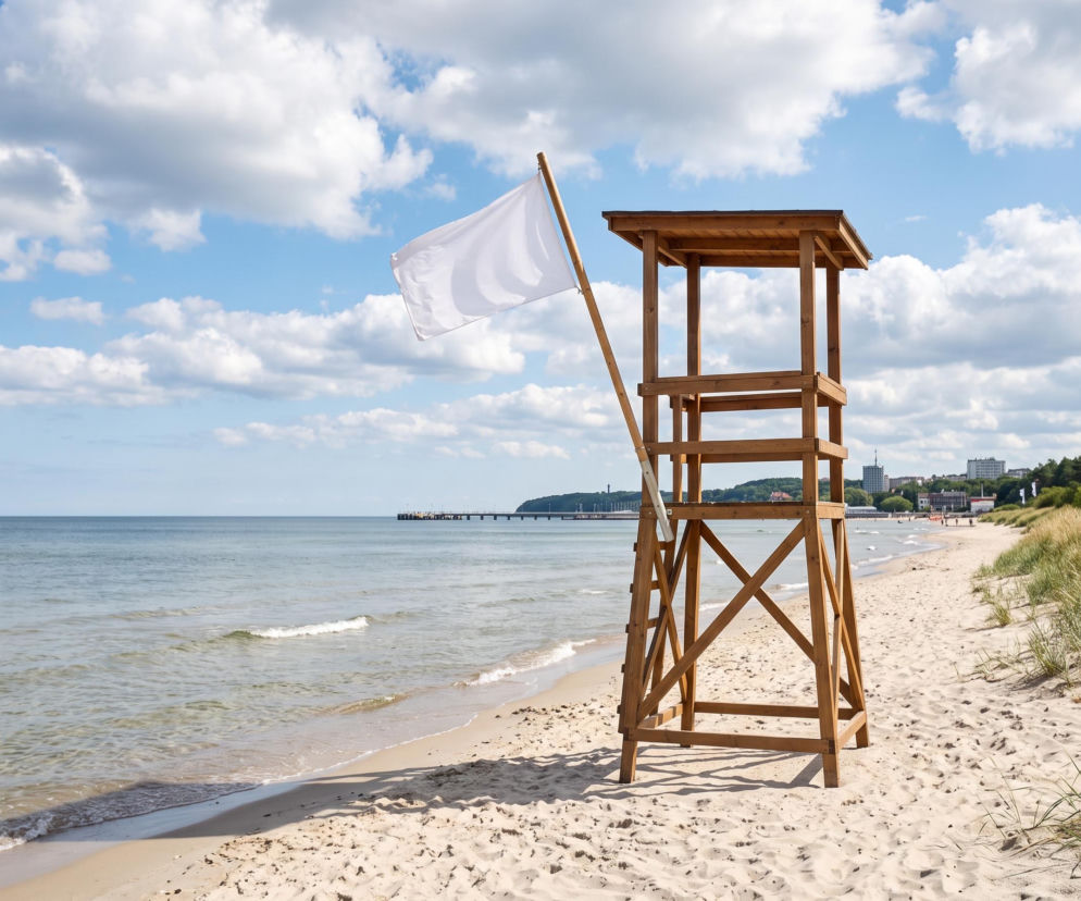 Sinice Gdynia. Czy w Gdyni można się kąpać 15.07? Flaga, warunki pogodowe