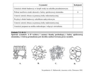 Matura 2018 z biologii [ARKUSZE CKE, ODPOWIEDZI]