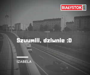 Trasa Niepodległości. Komentarze naszych Internautów