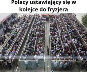 Memy o koronawirusie