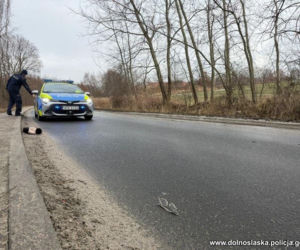 Miał tylko zawieźć dziecko do szkoły. Doszło do tragedii! Na drodze została tylko czapka i okulary [ZDJĘCIA]