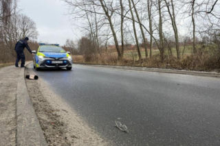 Miał tylko zawieźć dziecko do szkoły. Doszło do tragedii! Na drodze została tylko czapka i okulary [ZDJĘCIA]