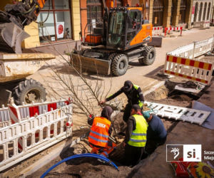 Nowe nasadzenia na Pl. Orła Białego