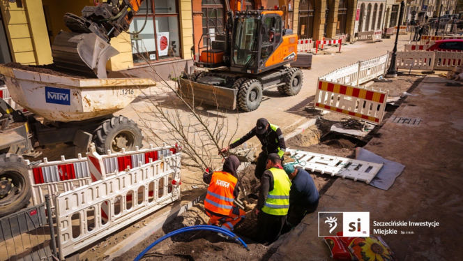 Nowe nasadzenia na Pl. Orła Białego