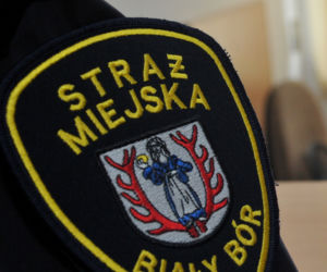 Rozgonili najbardziej znienawidzoną straż miejską