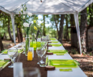 dekoracje w kolorze zielonym thinkstockphotos.com 6