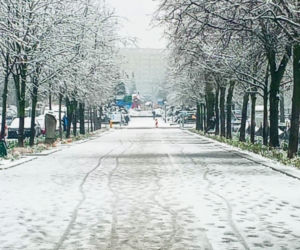 Pierwszy śnieg w Szczecinie