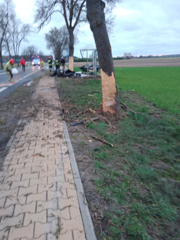Bmw uderzyło w drzewo, przystanek i znowu w drzewo. Dwie osoby zginęły pod Kozienicami! 
