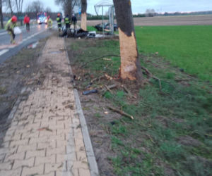 Bmw uderzyło w drzewo, przystanek i znowu w drzewo. Dwie osoby zginęły pod Kozienicami! 
