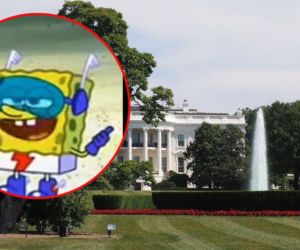 „Spongebob kanciastoporty” i „Macarena” w przekazach Białego Domu o wojnie!