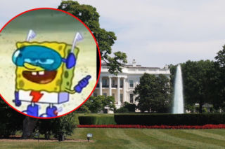 „Spongebob kanciastoporty” i „Macarena” w przekazach Białego Domu o wojnie!