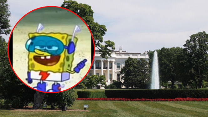 „Spongebob kanciastoporty” i „Macarena” w przekazach Białego Domu o wojnie!