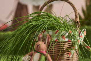 Gdzie kupić idealny koszyk wielkanocny? Przegląd dostępnych ofert