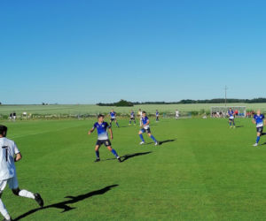 Pogoń II Szczecin - Elana Toruń 2:3, zdjęcia z meczu
