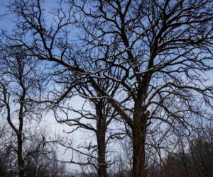 Szklana Huta na zdjęciach