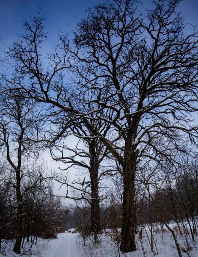 Szklana Huta na zdjęciach