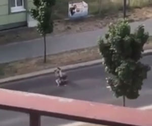 Zombie zabija już w Polsce