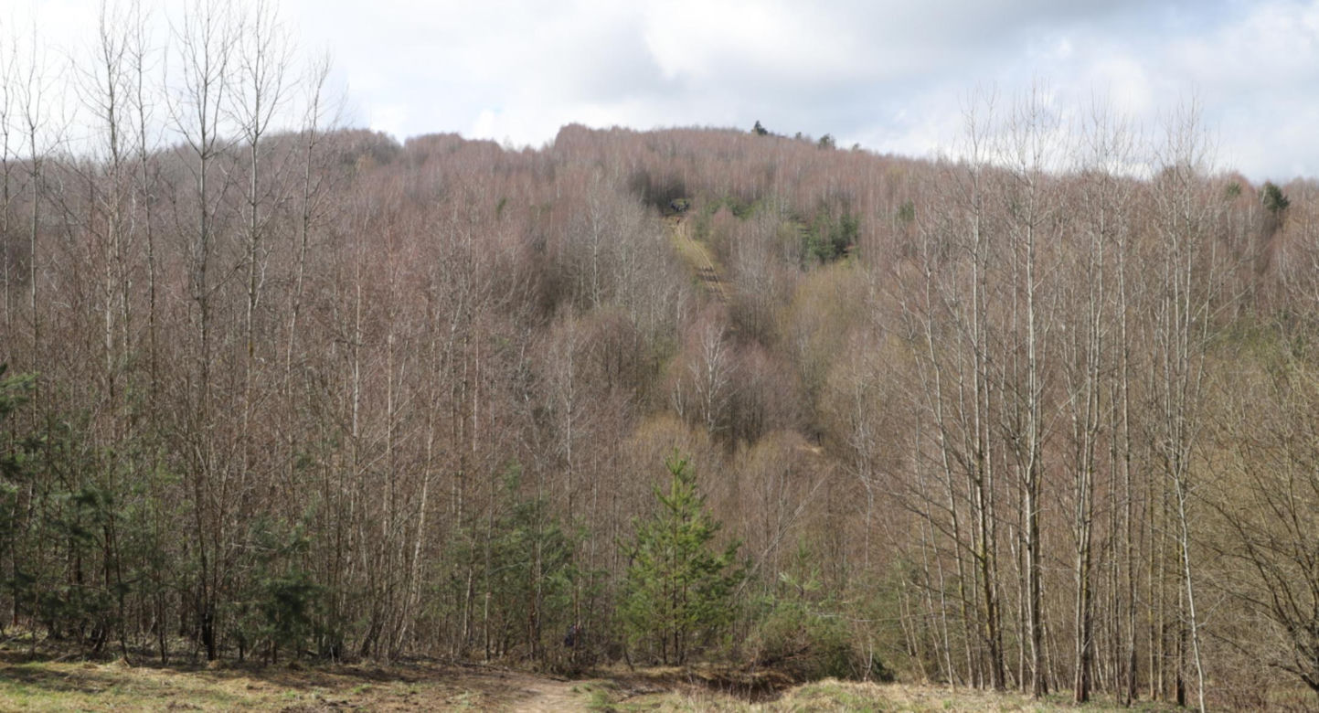 Góra Radostowa