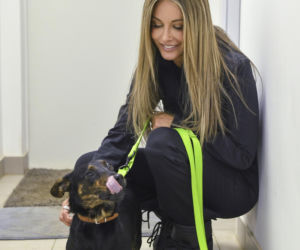 Małgorzata Rozenek-Majdan odwiedziła schronisko w Łodzi