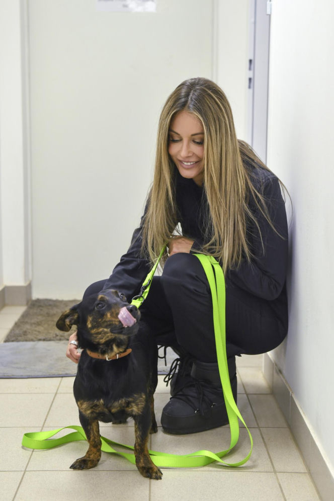 Małgorzata Rozenek-Majdan odwiedziła schronisko w Łodzi