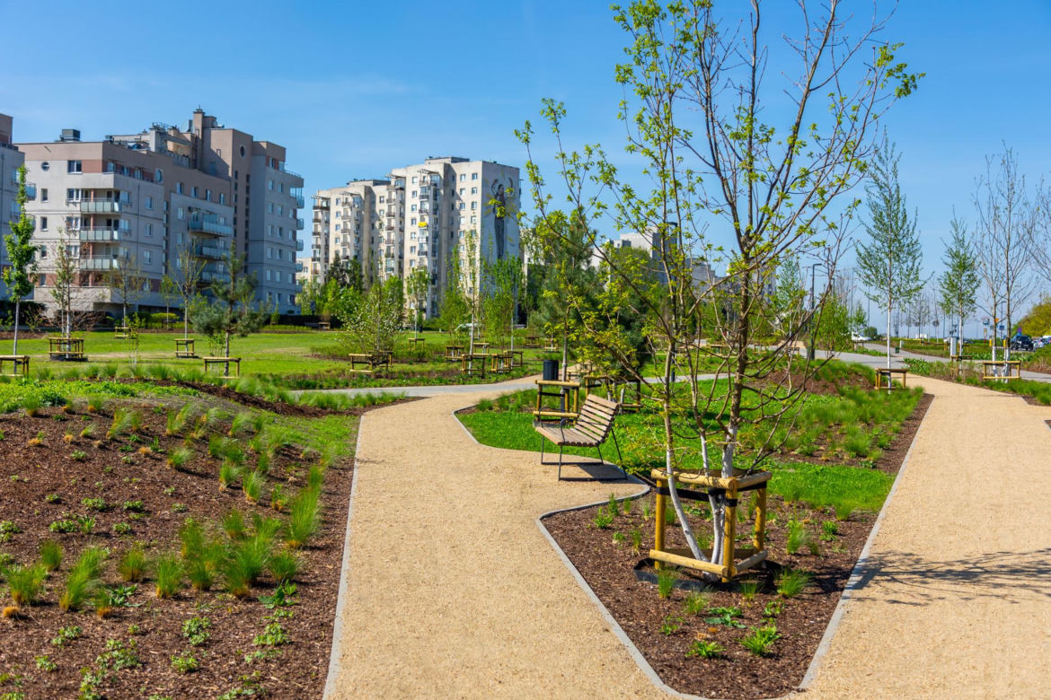 Park nad Południową Obwodnicą Warszawy na Ursynowie