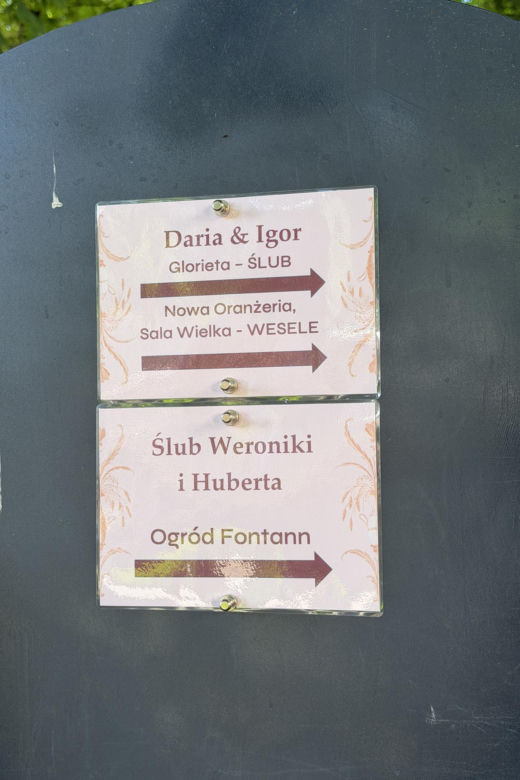 Tłum gwiazd na ślubie Darii Syty