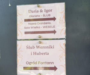 Tłum gwiazd na ślubie Darii Syty