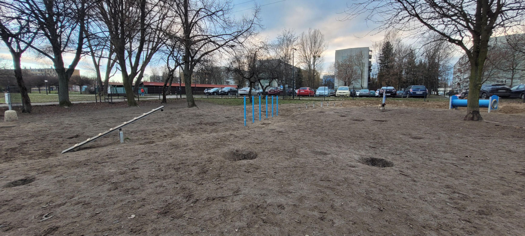 Psi park w Parku Podolskim w Łodzi