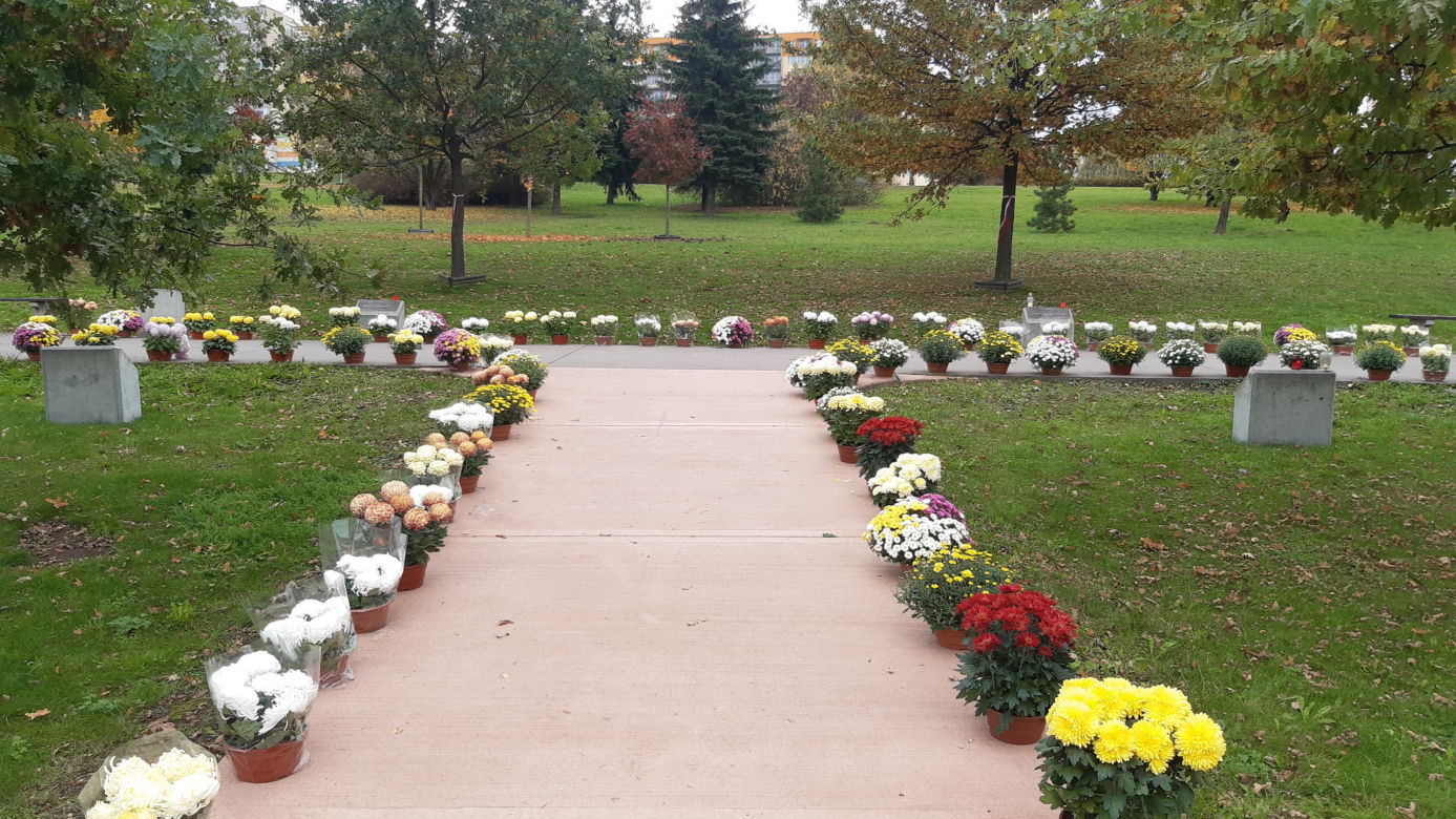 Dwa tysiące chryzantem ozdobiło park w Tarnowie