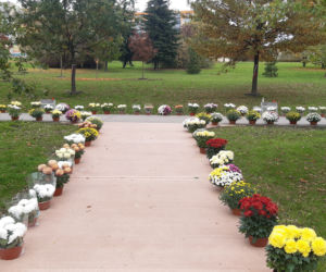 Dwa tysiące chryzantem ozdobiło park w Tarnowie