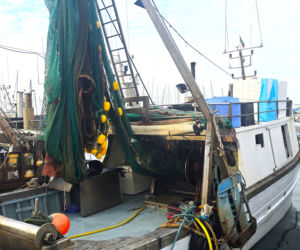 Turystyka rybacka w Cesenatico. Włoskie wybrzeże kusi polskich turystów