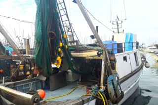 Turystyka rybacka w Cesenatico. Włoskie wybrzeże kusi polskich turystów