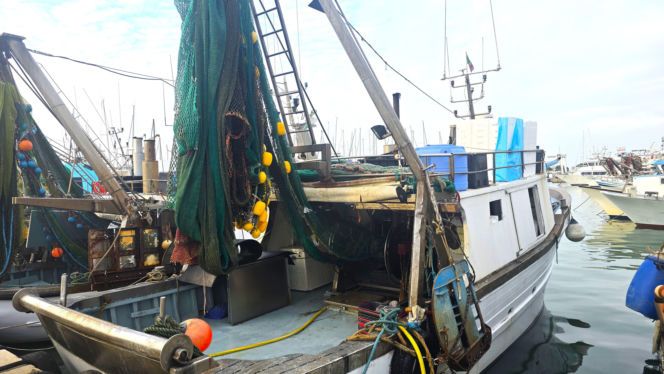 Turystyka rybacka w Cesenatico. Włoskie wybrzeże kusi polskich turystów