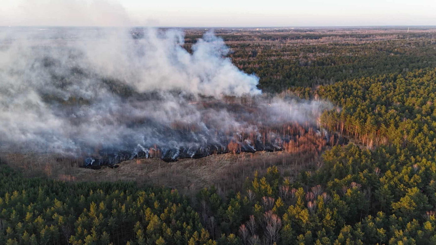Płonie poligon pod Warszawą. Dym widać z daleka. "Ogień nie jest jeszcze opanowany"