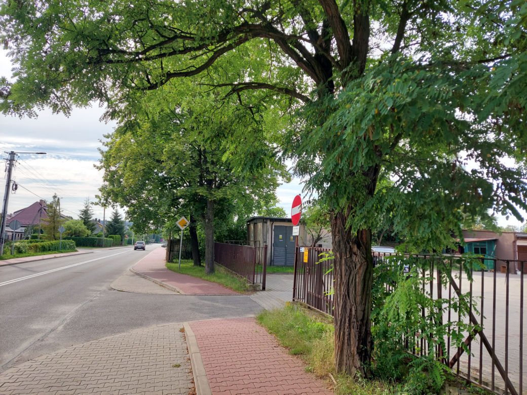 Starachowice: Ponad 200 drzew do usunięcia pod ścieżki rowerowe?  Wiemy gdzie
