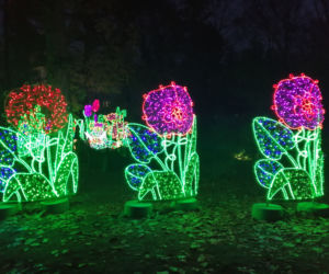 Park Iluminacji w Poznaniu