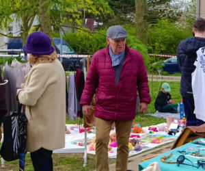 Pchli targ na Pogodnie