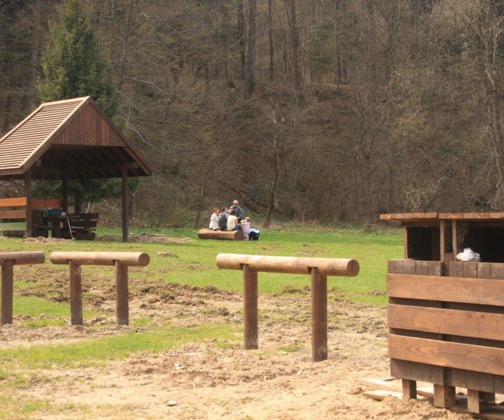 Majówka na Podkarpaciu? W lasach Beskidu Niskiego pojawiły się nowe urządzenia turystyczne