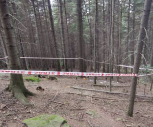 SZOKUJĄCY wypadek w Łososinie Dolnej. Paralotniarz spadł na ziemię z dużej wysokości 