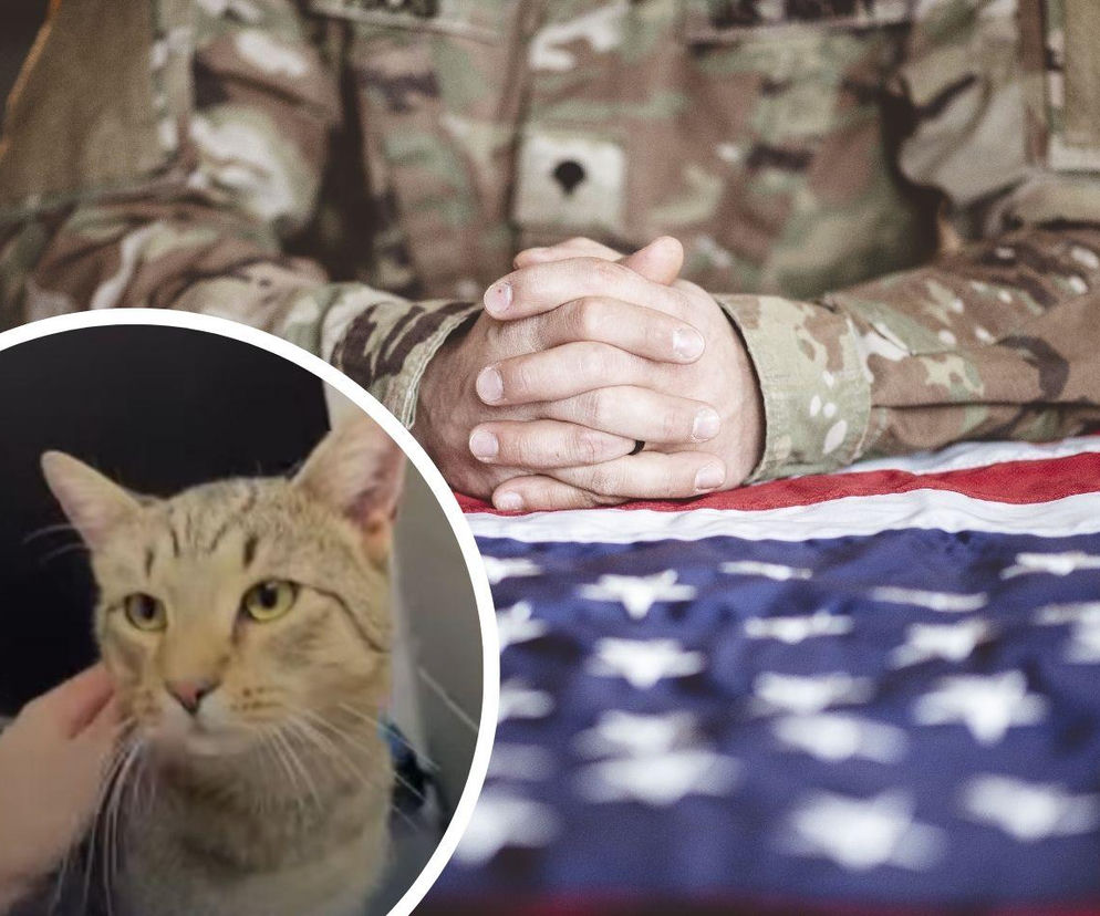 Amerykański komandos uratował bezpańskiego kota z Polski. Pupil mieszka z nim teraz w Teksasie