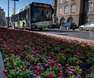 Olsztyn wraca do życia. Mimo epidemii centrum miasta rozkwita