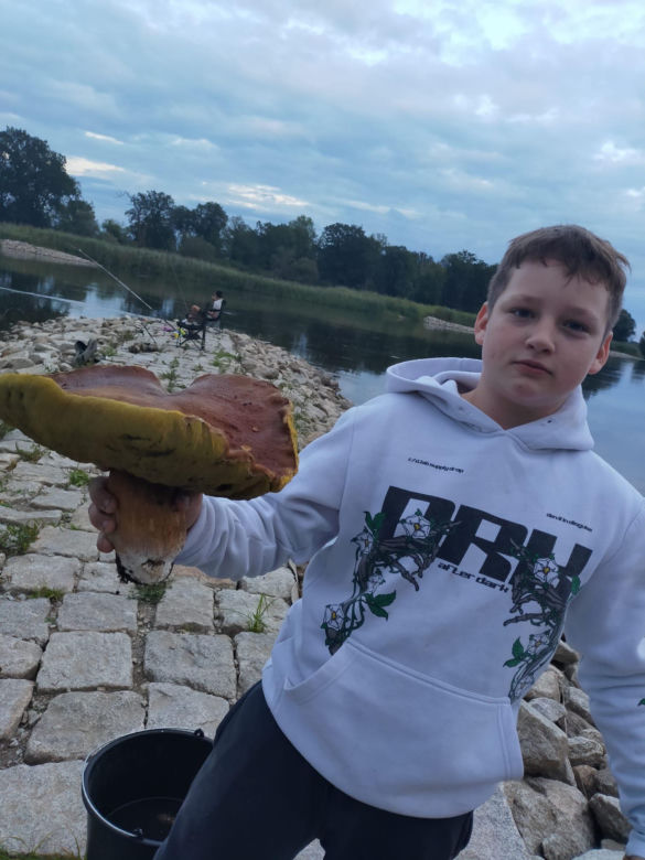 Największe grzyby w Lubuskiem