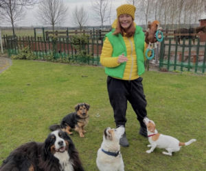 Dowbor walczy o Stefana