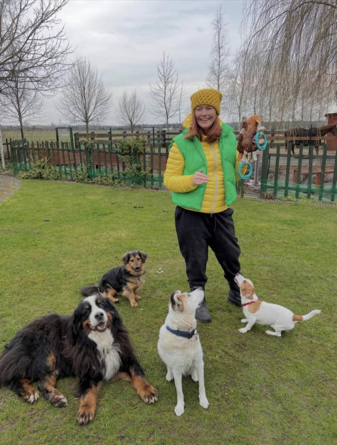 Dowbor walczy o Stefana