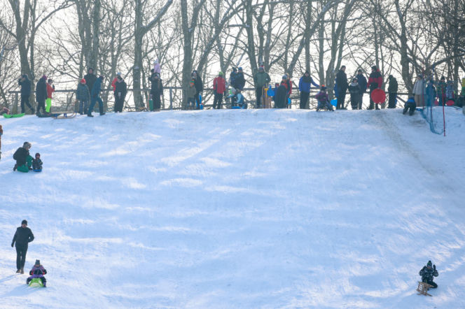 To najlepsza zimowa, darmowa atrakcja w Katowicach. Tłumy na torze saneczkowym
