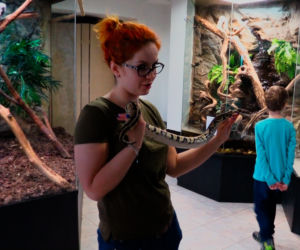 Muzeum Przyrodnicze w Krakowie: Jaszczurki i węże też lubią przytulanie!