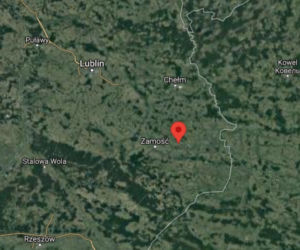 Pijany kierowca zabił 14-latkę! Makabryczny wypadek w Miączynie Kolonii