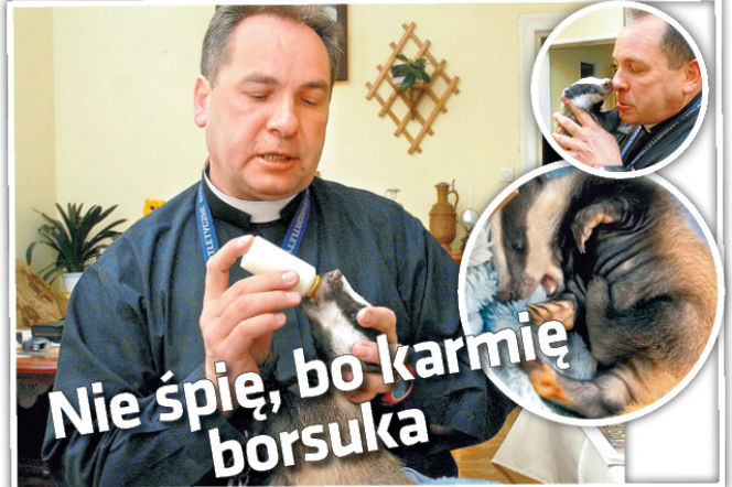 Ksiądz Sylwester: Nie śpię, bo karmię borsuka