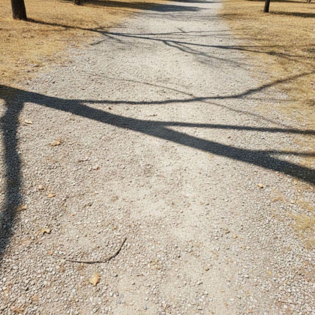 Temperatura w Rzeszowie wystrzeli w górę. Takiego finału weekendu mało kto się spodziewa
