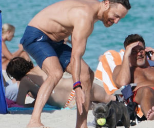 David Guetta z psem
